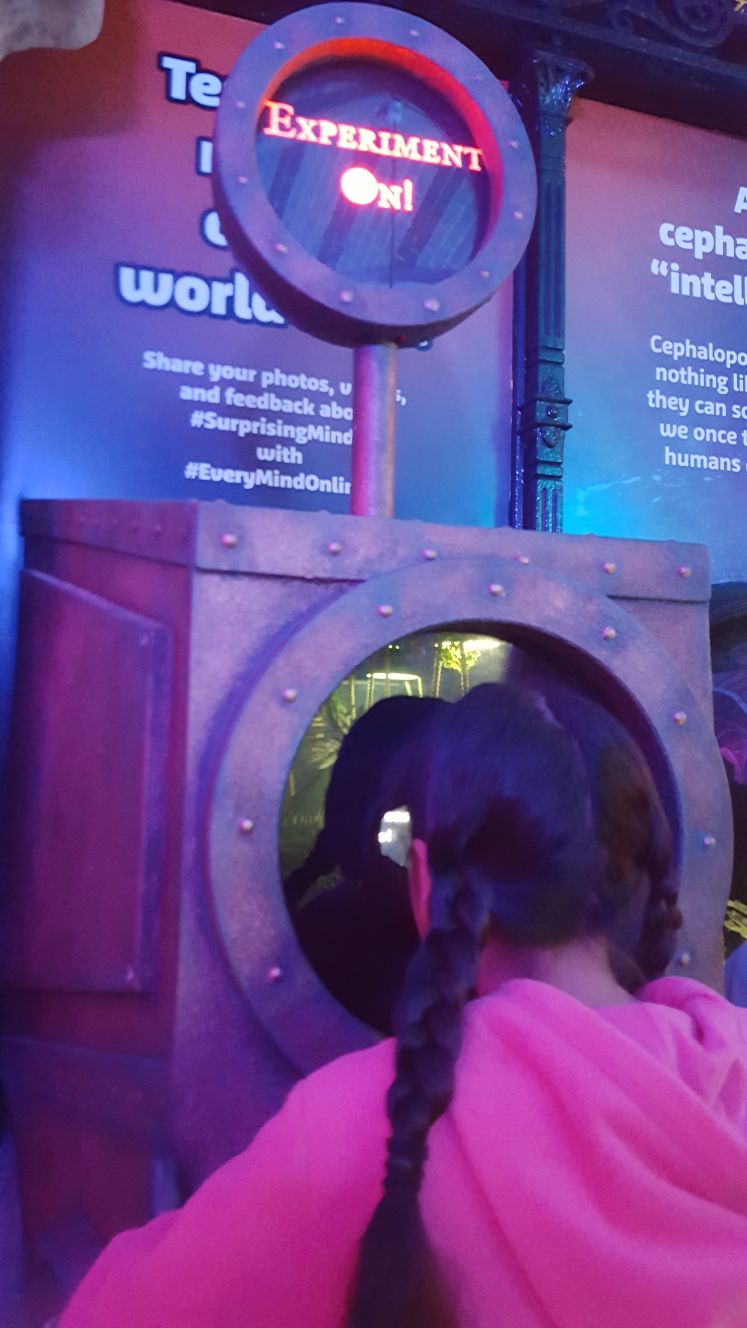 A Sea Life visitor gives the Surprising Minds exhibit a go!